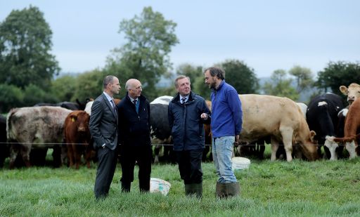 National Farmed Animal Health Strategy Consultation Process Launched