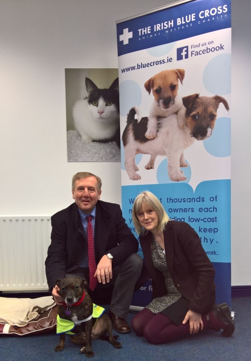 Minister Creed announces funding of €2,460,500 to Animal Welfare Organisations