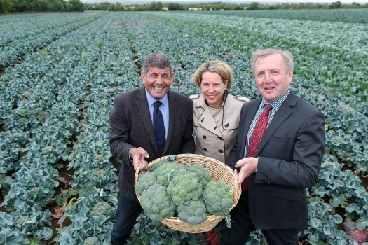 Ministers welcome supports for Irish vegetable growers
