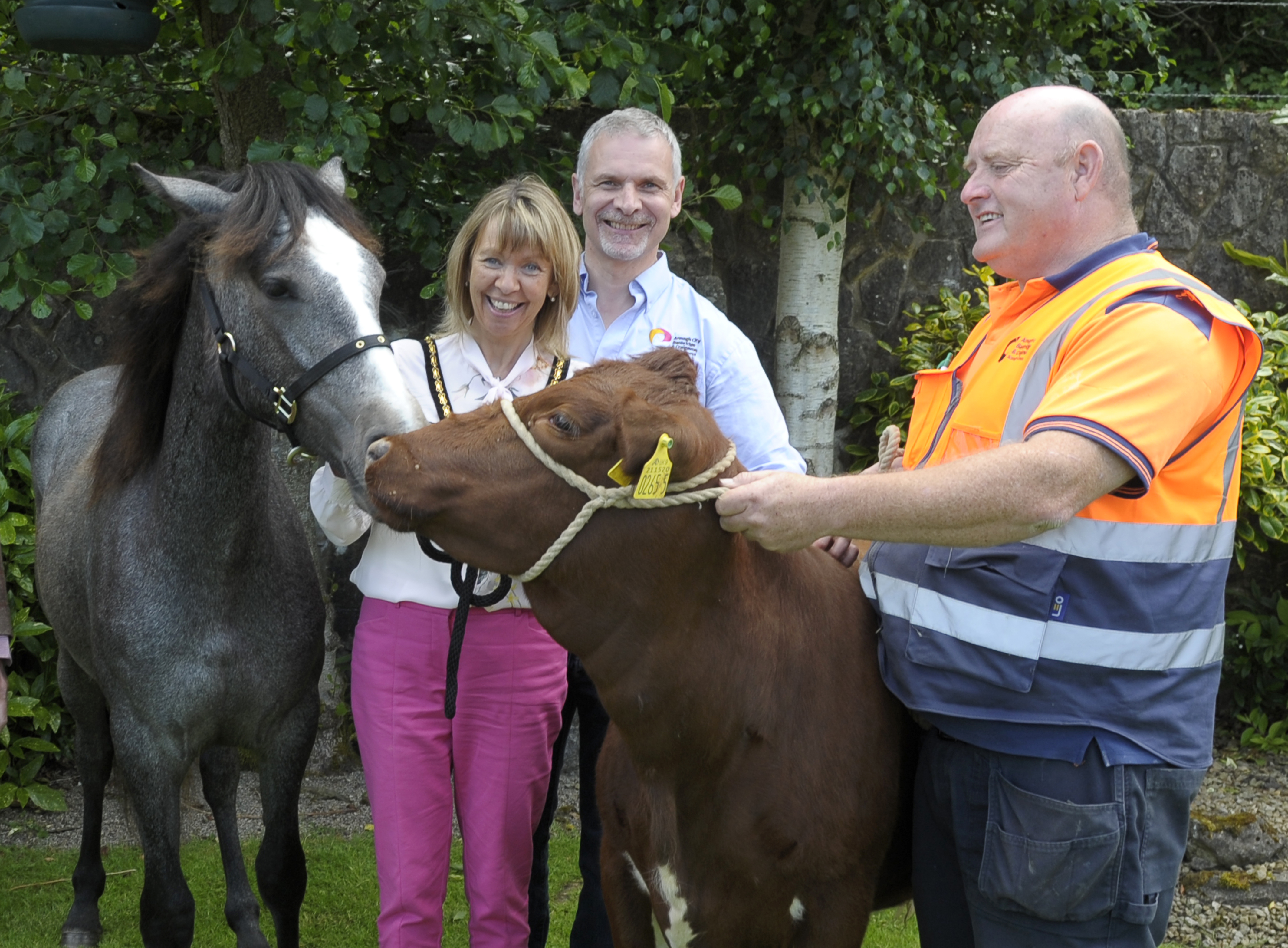 Gift of Connemara Pony marks new North South Co-operation in Conservation of Native Breeds 