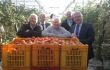 Hayes announces 2014 grant scheme for development of Commercial Horticulture Sector
