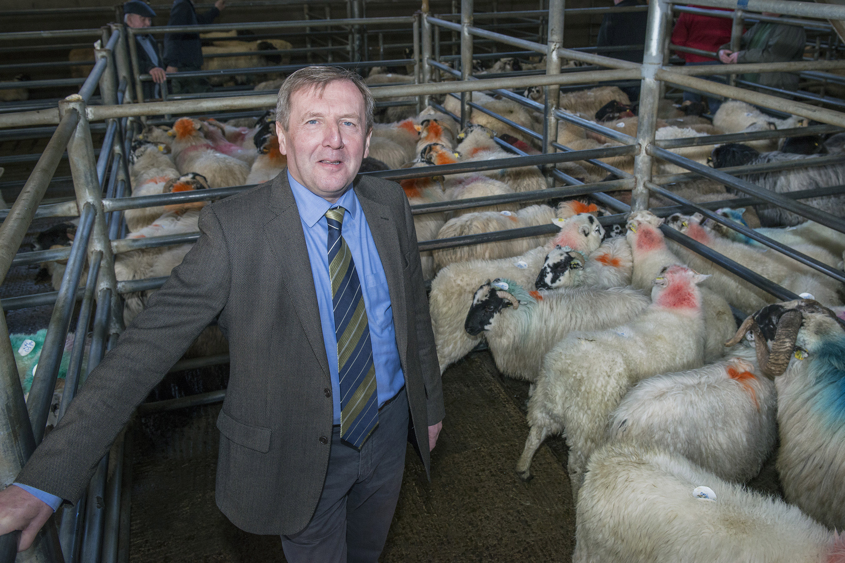 Minister Creed Announces €15m advance payments under Year 2 of Sheep Welfare Scheme